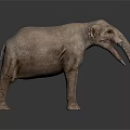 Gray Elephant Standing Against Dark Background With Long Tusks 3D Rendering