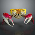 Vibrant Colored Crab With Yellow Body And Red White Claws Detailed Appearance On Dark Background