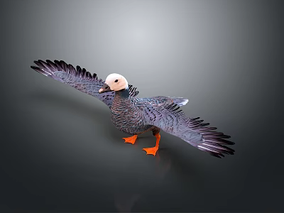Duck with Spread Wings White Head Gray Feathers and Orange Feet on Gray Background 3d model