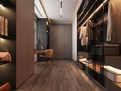 Modern Walk in Closet Interior Design With Storage And Furniture 3d model