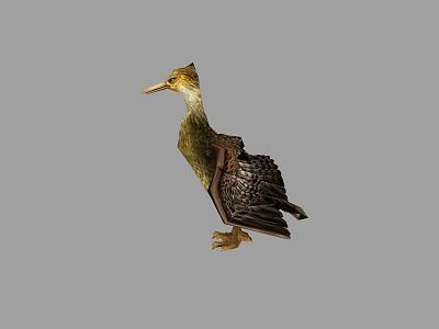 Brown Feathered Flying Animal Bird With Yellow Beak And Spread Wings 3d model