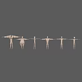 3D Game And Movie Character Models With Varying Body Sizes Lined Up In Sequence