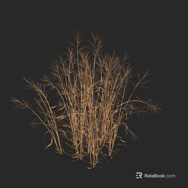 Natural Dried Flower Vase Arrangement With Thin Stems On Black Background 3d model 