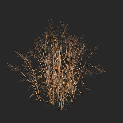 Modern hard straw grass bamboo branch thin handle grass withered grass 3d model