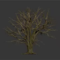 Two Leafless Trees With Exposed Trunks And Roots On White Background