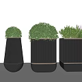Stylish Plant Combination With Ribbed Black Planters And Lush Green Plants