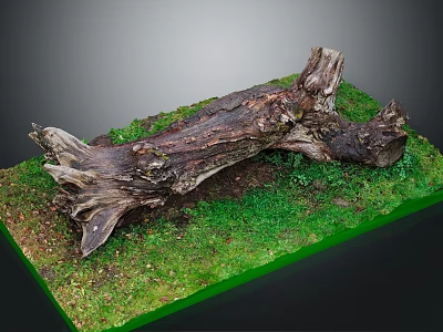 Rustic Natural Wooden Log On Green Mossy Grass Decorative Base 3d model