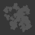Tall Arbor Tree With Green Foliage And Silhouette Of A Person Standing Nearby