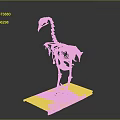 Complete Bird Skeleton Displayed on Wooden Base with Dark Background