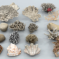 Modern Coral 3d model