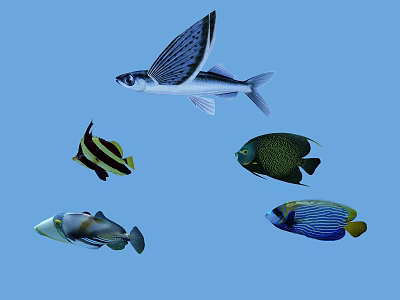 Colorful Aquatic Fish In Blue Background Featuring Flying Fish And Tropical Species 3d model