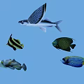 Colorful Aquatic Fish In Blue Background Featuring Flying Fish And Tropical Species
