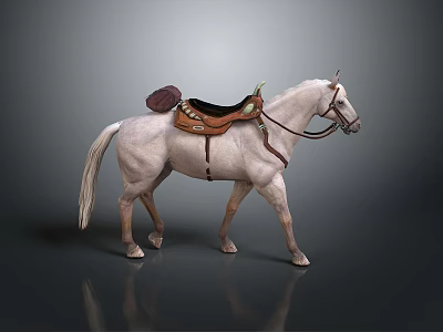 Light Gray Standing Horse With Detailed Brown Leather Saddle And Bridle 3d model