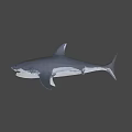 Gray Shark With Open Mouth And Sharp Teeth In Blue Background 3d model