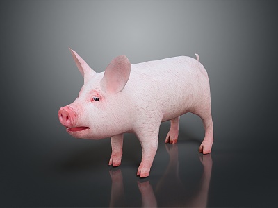 Pig Cartons Pig Game Pig Head Pig Livestock Taming Animal Husbandry Animal Husbandry Mammals model