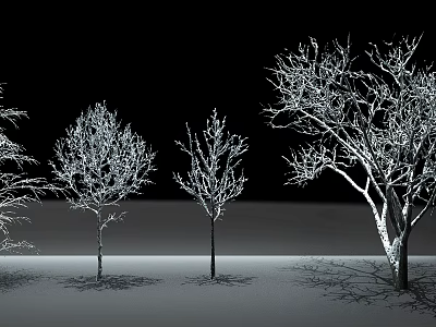 Tall Trees With Bare Branches And Snow Covered Twigs In Winter Landscape 3d model