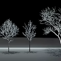 Tall Trees With Bare Branches And Snow Covered Twigs In Winter Landscape