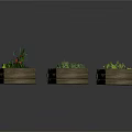 Three Wooden Planter Boxes Growing Various Vegetables Green Plants And Watermelon