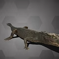 Detailed Aquatic Animal Crocodile With Scaly Texture On Hexagonal Background