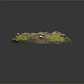 Circular Natural Landscape With Green Moss and Hollow Depression Surrounded By Small Stones