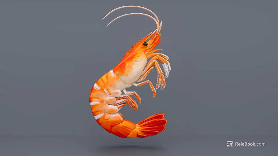 Vibrant Orange Red Aquatic Shrimp With Long Antennae Curved Body And Detailed Texture 3d model 