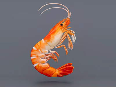 Vibrant Orange Red Aquatic Shrimp With Long Antennae Curved Body And Detailed Texture 3d model