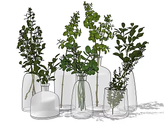 Modern Vase Glass Vase 3d model
