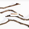 Natural Dry Wood Branches With Rustic Texture And Organic Shape 3d model