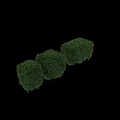 Lush Green Square Shaped Garden Shrubs With Various Pruned Designs And Vibrant Foliage