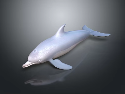White Dolphin 3D Rendering With Sleek Body And Dark Background Reflection 3d model