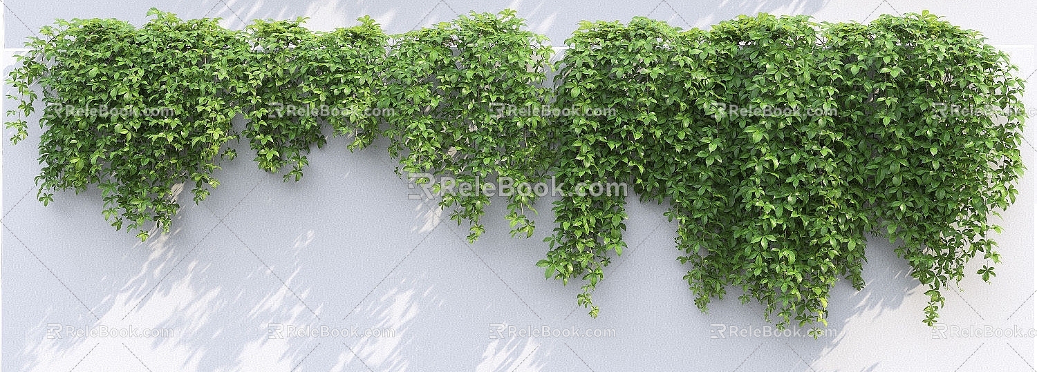 Modern Vine Vine Man Wall Creeper 3d model