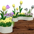 Tulip flowers landscape beautiful Chen 3d model