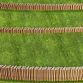 Curved Road Infrastructure With Wooden Fence Green Lawn And Street Lamps