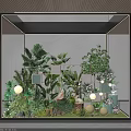 Glass Framed Indoor Garden Display With Various Green Plants Decorative Ornaments And Round Lights