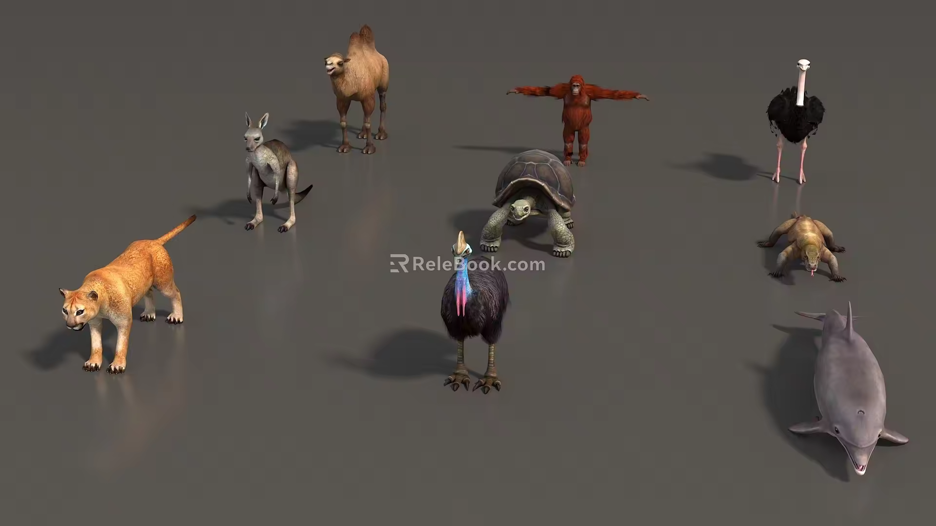 Animal Mammal Low Model Animal Low Face Number Animal Game Animal Simple Model Realistic Animal Camel Kangaroo Ostrich Turtle Lizard 3d model