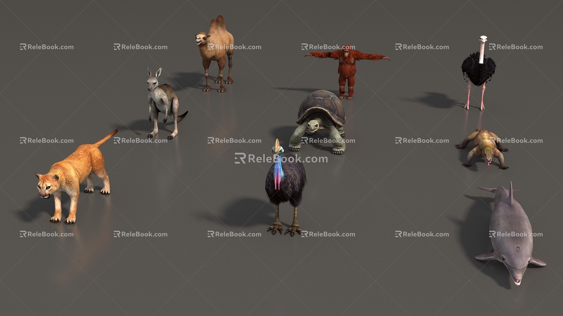 Animal Mammal Low Model Animal Low Face Number Animal Game Animal Animal Simple Model Realistic Animal Camel Kangaroo Ostrich Turtle Lizard 3d model