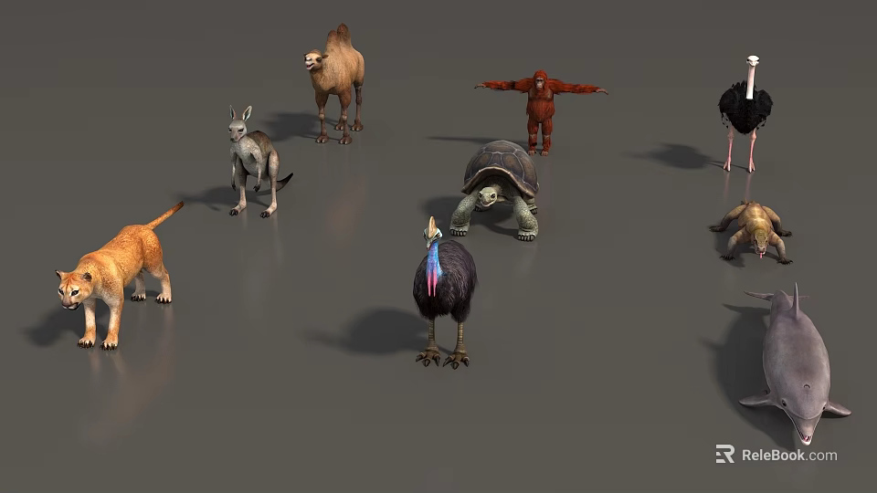 Slow Moving Reptile Turtle Among Various Animals On Gray Surface Area 3d model 