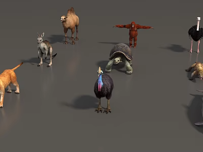 Slow Moving Reptile Turtle Among Various Animals On Gray Surface Area 3d model