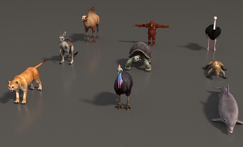 Animal Mammal Low Model Animal Low Face Number Animal Game Animal Simple Model Realistic Animal Camel Kangaroo Ostrich Turtle Lizard 3d model