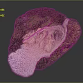 Detailed Terrain Model With Green Vegetation And Light Colored Rocky Surface Features