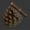 Detailed Pine Cone With Intricate Scales Natural Brown Texture And Wooden Stem