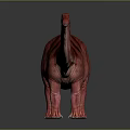Red Dinosaur With Long Neck Tail And Black Stripes Standing On Grey Background With Reflection