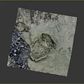 Natural Wooden Stone Slab Sample With Rough Rock Texture And Mossy Surface