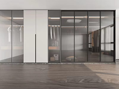 Sleek Modern Wardrobe Interior Design With Glass Doors White Panels And Hanging Clothes 3d model
