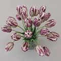 Purple And White Tulips Arranged In Glass Vase With Green Stems