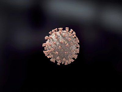 Highly Detailed 3D Model of Virus Structure With Spike Proteins 3d model