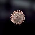 Highly Detailed 3D Model of Virus Structure With Spike Proteins