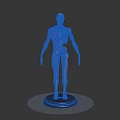 Human Anatomical Muscle And Skeleton Model Displaying Detailed Body Structure On Base