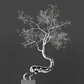 Modern Artistic Silver Tree Like Sculpture With Curved Trunk And Metallic Spherical Base
