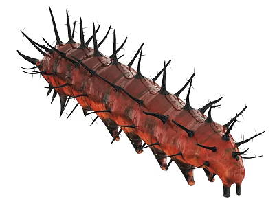 Unique Red Segmented Reptile With Sharp Black Spines And Many Legs 3d model